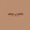 white rabbit (Cover) - Single album lyrics, reviews, download