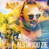 Als Ik Jou Zie - Single