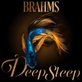 Brahms Deep Sleep artwork