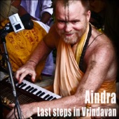 Last Steps in Vrindavan artwork