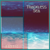 Bassic - Waves