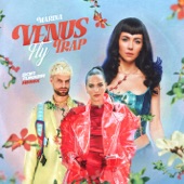 Venus Fly Trap (Sofi Tukker Remix) artwork