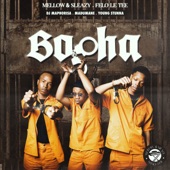 Bopha (feat. DJ Maphorisa, Madumane & Young Stunna) artwork