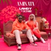 Aminata by Landy, Victoire iTunes Track 1