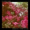 Otro Lugar - Classic Park lyrics