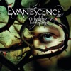 Bring Me To Life by Evanescence iTunes Track 2