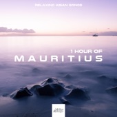 1 HOUR of Mauritius - Relaxing Asian Songs for Romantic Journeys artwork