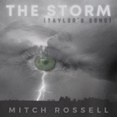 The Storm (Taylor's Song) artwork
