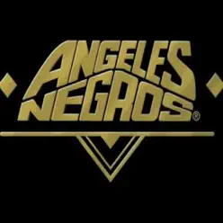 Grandes Éxitos - Los Angeles Negros