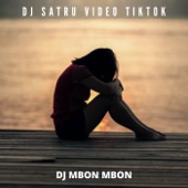 DJ Satru Video Tiktok artwork