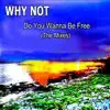 Do You Wanna Be Free (feat. Geoff Horgan) [Acoustic Album Mix] song lyrics