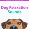 Canine Peace - Relaxmydog & Dog Music Dreams lyrics