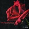 Dead Roses (feat. Baby Gos) - Merkzyyy lyrics