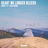 Heart No Longer Bleeds (feat. Cas Heim) artwork