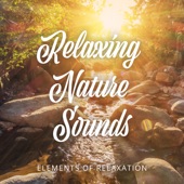 Relaxing Nature Sounds (Forest, Mountain Stream & Birds) artwork