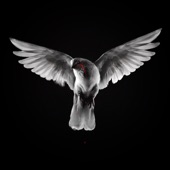 When Doves Cry (Radio Edit) artwork