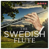 The Swedish Flute artwork