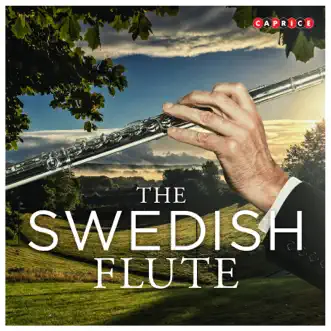 Quartet for Flute, Oboe, Clarinet & Cello, Op. 31: I. Andante - Allegro moderato - Andante by Peter Fridholm, Erik Rodell, Per Johansson & Per Nystrom song reviws