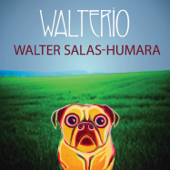 Walterio - Walter Salas-Humara