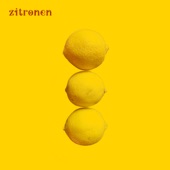 Zitronen/Ghost Funk Orchestra - Varsovia