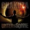 Licht und Schatten (feat. Nyze) - Chakuza lyrics