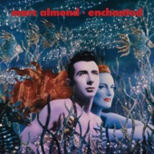 Enchanted (Expanded Edition) artwork