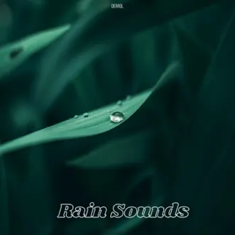 Rain Sounds by Derrol, Rain Sounds & Rain for Deep Sleep album reviews, ratings, credits