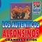 Oñeporanduko cheve nderehe - Los Autenticos Alfonsinos lyrics