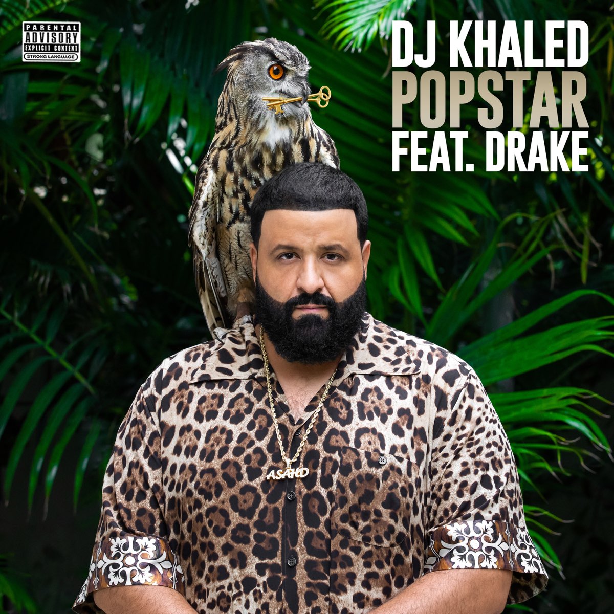 ‎POPSTAR (feat. Drake) Single by DJ Khaled on Apple Music