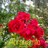 Abrahamic - Single album lyrics, reviews, download