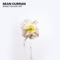 Shake The Dust Off - Sean Curran lyrics