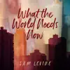 Stream & download What the World Needs Now - Single (feat. Pat Coil, Jacob Jezioro & Danny Gottlieb) - Single