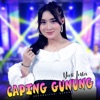 Caping Gunung - Single