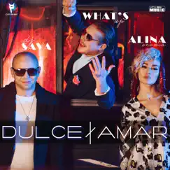 Dulce Amar (feat. Alina Eremia & What's Up) Song Lyrics