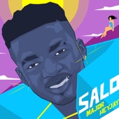 Salo artwork