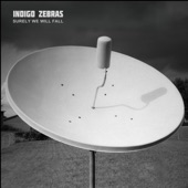 Indigo Zebras - Rolling Hills