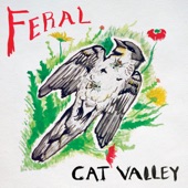 Cat Valley - Last Year