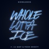 Whole Lotta Ice (feat. Lil Baby & Pooh Shiesty) - Single