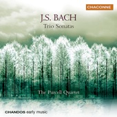Bach: Trio Sonatas artwork