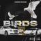 Birds - JMoneyBandz lyrics