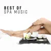 Best of Spa Music: Ultimate Wellness Center Sounds, Perfect Background Music for Relaxation, Meditation, Sleep, Massage album lyrics, reviews, download