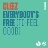Everybody's Free (To Feel Good) - Single