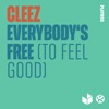 Cleez - Everybody's Free (To Feel Good)