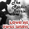 The Rockin' Berries - Poor Man's Son