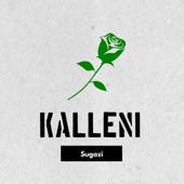 Kalleni artwork