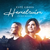 HEMELRUIM (feat. Len Muller) artwork