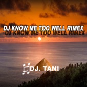 Dj Know Me Too Well (REMIX) artwork