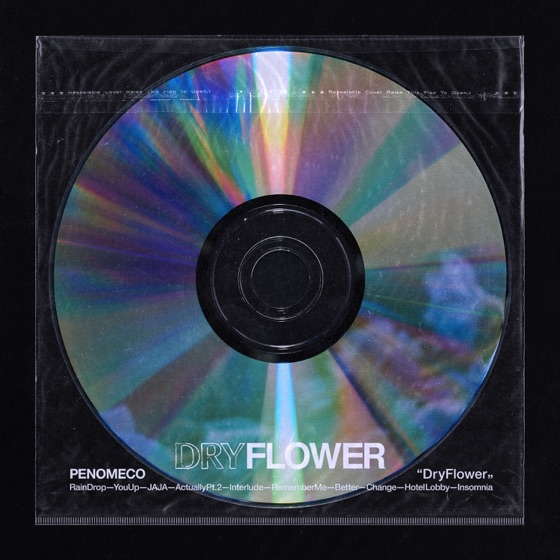 Cover artwork for Rain Drop
