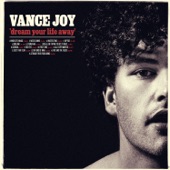 Vance Joy - Mess is Mine