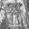 Rebirth of the Pagan Pride - Futhark lyrics